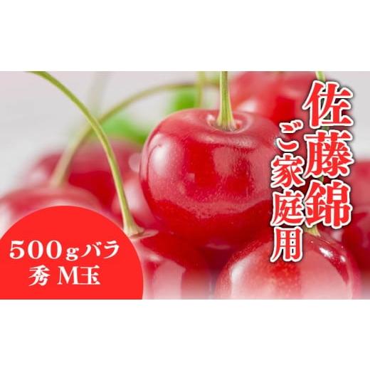 ふるさと納税 果物類 さくらんぼ 山形県 天童市 08-01-193 さくらんぼ(佐藤錦・ご家庭用)500g