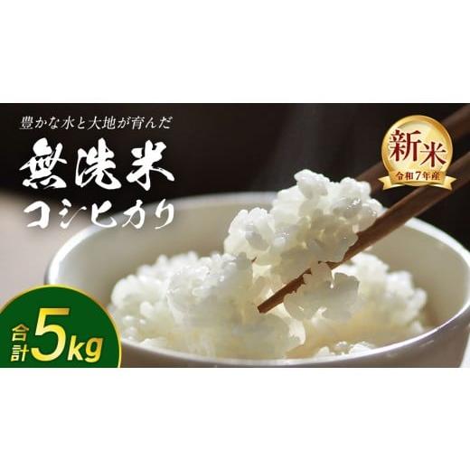 ふるさと納税 米 コシヒカリ 茨城県 つくばみらい市 無洗米 令和7年産 新米 コシヒカリ 5kg 茨城県つくばみらい市産 時短 手軽 粘り 甘み 茨城 こしひかり 令…