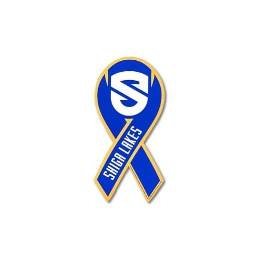 ふるさと納税 文房具・玩具 滋賀県 大津市 滋賀レイクス リボンマグネット(エンブレムデザイン) SL002 / 滋賀レイクス 応援 グッズ プロバスケットボール…