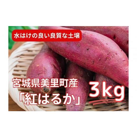 ふるさと納税 野菜類 サツマイモ 宮城県 美里町 甘くてしっとり さつまいも(紅はるか)3kg