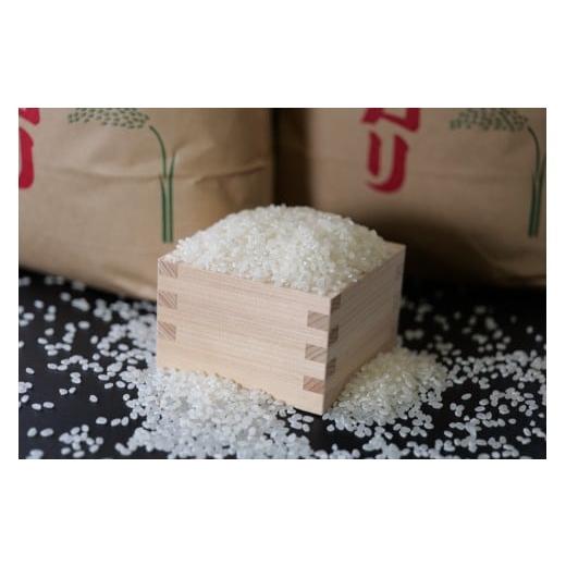 ふるさと納税 米 コシヒカリ 兵庫県 丹波市 特別栽培米 白米 5kg x 1袋