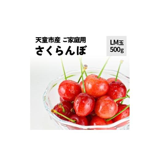 ふるさと納税 果物類 さくらんぼ 山形県 天童市 08-10-049 さくらんぼ (品種おまかせ) LM玉 500g ご家庭用