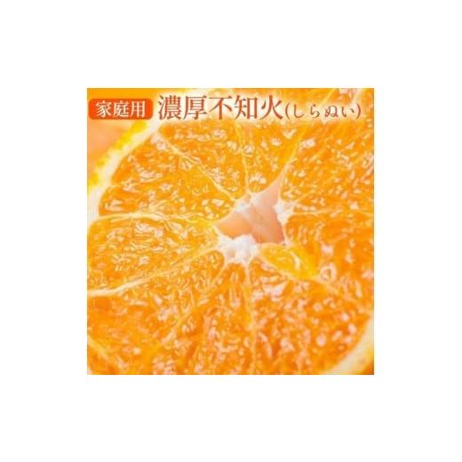 ふるさと納税 みかん・柑橘類 デコポン 和歌山県 美浜町 先行予約 有田育ちの濃厚 不知火 (デコポン と同品種)(訳あり 家庭用) 約5kg