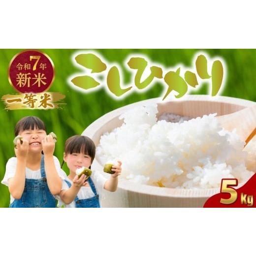ふるさと納税 米 コシヒカリ 広島県 竹原市 令和7年度新米 広島県産米 コシヒカリ 5kg 一等米 精米 米 お米 新米 広島県産 おむすび ごはん ゴハン こめ コメ …