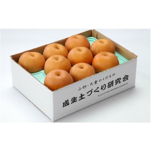 ふるさと納税 梨 山形県 天童市 08-05-040 和梨2.5kg:品種おまかせ