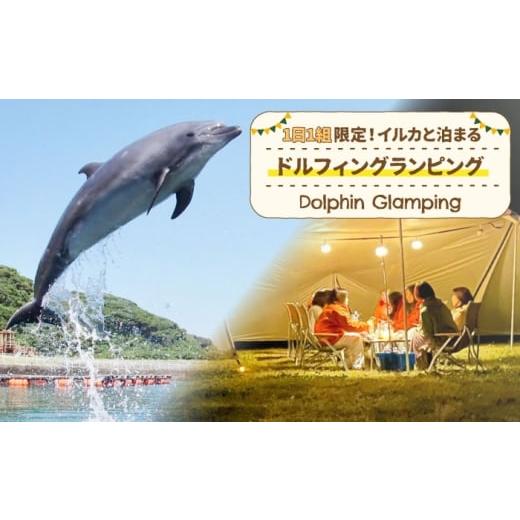 ふるさと納税 体験チケット 長崎県 壱岐市 イルカに癒される極上の体験。1組限定 イルカと泊まるドルフィングランピング[壱岐市] 壱岐イルカパーク&リゾー…