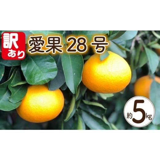 ふるさと納税 果物類 みかん 愛媛県 松山市 訳あり 愛果28号 約5kg 12月上旬~12月下旬頃発送予定 | 愛媛果試第28号 あいか 愛果28号 みかん 柑橘 アイカ 先行…