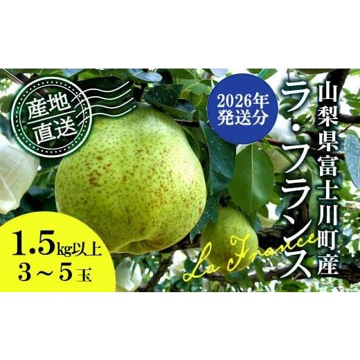 ふるさと納税 梨 山梨県 富士川町 2026年発送分 先行予約 ラ・フランス 3〜5玉 (約1.5kg) 2026年10月中旬以降発送予定 洋ナシ 洋梨 フルーツ 果物 富士川…