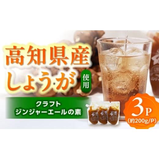 ふるさと納税 果汁飲料 高知県 高知市 クラフトジンジャエールの素 約200g×3パック / ジンジャーエール 素 シロップ ジンジャーシロップ 炭酸 炭酸割り ソ…