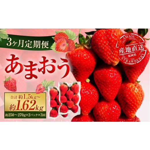 ふるさと納税 いちご 福岡県 太宰府市 3ヶ月定期便 あまおう 2パック×3回 (計6パック) 2026年2月上旬〜4月上旬発送予定 いちご イチゴ 果物 果実 フルーツ…