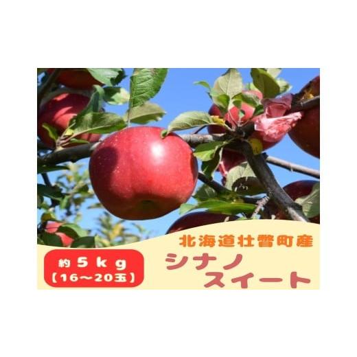 ふるさと納税 りんご 北海道 壮瞥町 ファームアグリエイトのりんご「シナノスイート」 約5kg(16〜20玉) ふるさと納税 人気 おすすめ ランキング 北海道 壮瞥…