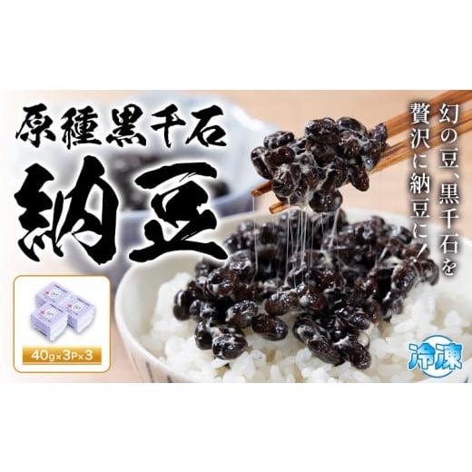 ふるさと納税 加工品等 納豆 北海道 浦幌町 原種黒千石納豆 十勝うらほろおかだ農園 3パック×3個 (1パック40g) 納豆[30日以内に出荷予定(土日祝除く)]北海…