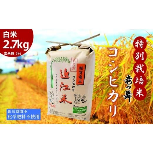 ふるさと納税 米 コシヒカリ 滋賀県 竜王町 こしひかり 白米 2.7kg 2025年産 竜の舞 化学肥料不使用 特別栽培米 玄米 時 容量 3kg 国産 安心 安全 近江米 米 …