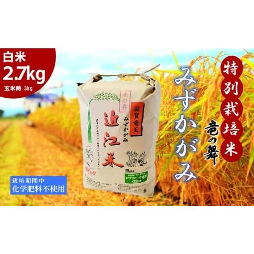 ふるさと納税 米 滋賀県 竜王町 みずかがみ 白米 2.7kg 2025年産 竜の舞 化学肥料不使用 特別栽培米 玄米 時 容量 3kg 国産 安心 安全 近江米 米 お米 白米 お…
