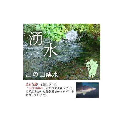 ふるさと納税 魚貝類 キャビア 宮崎県 小林市  純国産キャビア ロイヤルシベリアンキャビア 80g 皇帝の涙 国産 チョウザメ 魚卵 宮崎県の画像