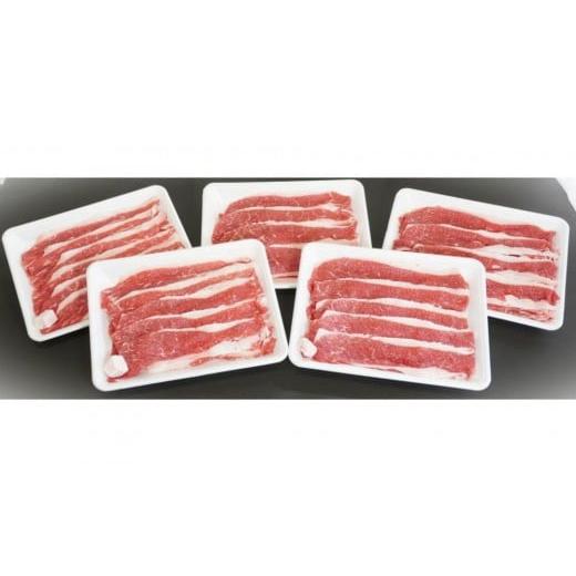 ふるさと納税 牛肉 すき焼き 鳥取県 鳥取市 鳥取牛バラスライス 2kg(400g×5P)