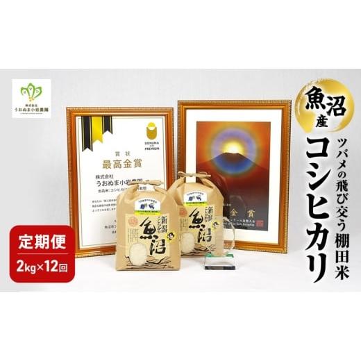 ふるさと納税 米 コシヒカリ 新潟県 魚沼市   精米 ツバメの飛び交う棚田米 2kg×1袋 12ヵ月連続お届け 米 こめ お米 コメ こしひかり コシヒカ…
