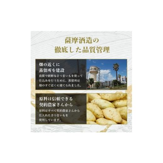 ふるさと納税 焼酎 いも 鹿児島県 枕崎市  毎月定期便 鹿児島限定\u0026薩摩酒造の定番6本 飲み比べセット II0-0003 全4回_ 薩摩酒造 焼酎 酒 お酒 芋焼酎 4077…の画像