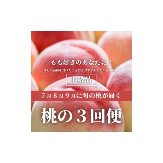 ふるさと納税 もも 岡山県 津山市 発送月固定定期便 2026年先行予約 桃好きの為の桃3回便 (上級品5-7玉入)(岡山産)全3回 4061981