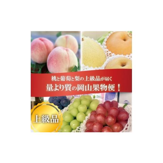 ふるさと納税 もも 岡山県 津山市 発送月固定定期便 2026年先行予約 岡山の桃、ぶどう、梨を産地直送 多品種を楽しむ定期便全3回 4066247