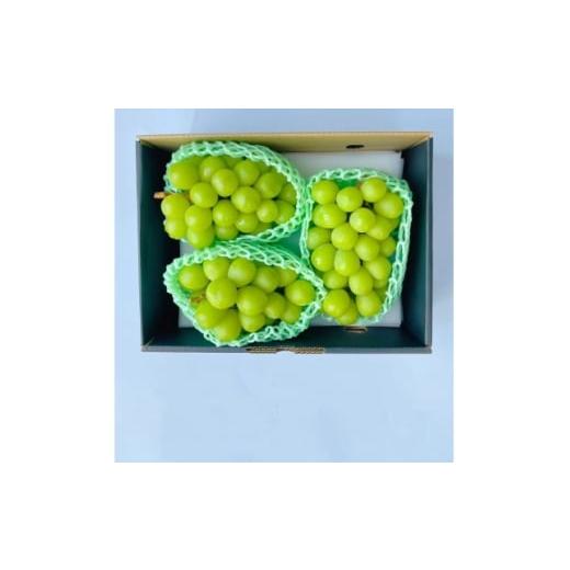 ふるさと納税 ぶどう 山梨県 山梨市 発送月固定定期便 2026年度 先行予約シャインマスカット2.0kg 3-4房全2回 4069967