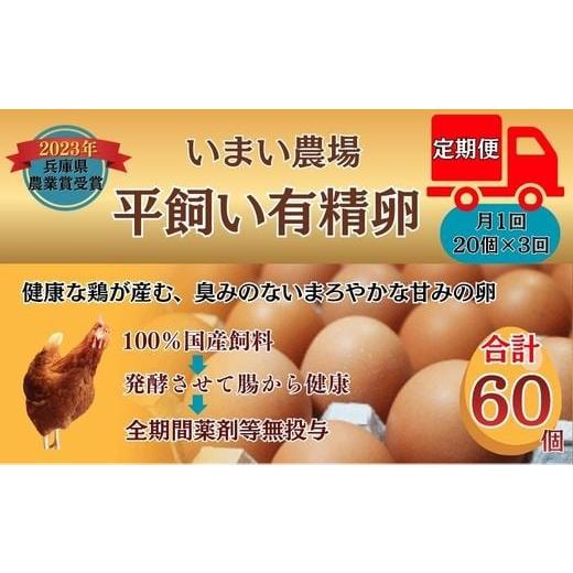ふるさと納税 卵(鶏、烏骨鶏等) 兵庫県 宍粟市 BQ6 いまい農場の 平飼い 有精卵 定期便(3か月) 合計60個(20個×3か月) 定期 3か月 複数回 赤玉 たまご …