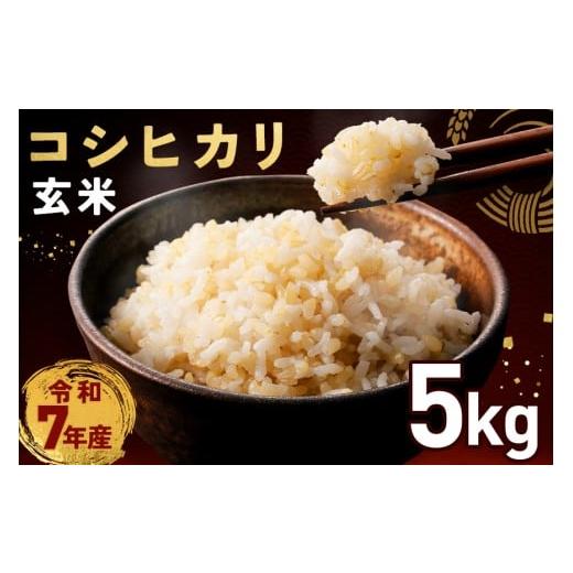 ふるさと納税 玄米 茨城県 笠間市 玄米 コシヒカリ 5kg 令和7年産 米 お米 コメ こしひかり ご飯 ごはん げんまい 国産 おにぎり 弁当 5キロ R7年産 小西農産 …