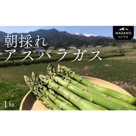 ふるさと納税 野菜類 アスパラガス 長野県 松川町 KY01-26B 先行予約 朝採りアスパラガス 約1kg /2026年4月中旬頃〜順次発送//長野県産 南信州産 春アスパ…