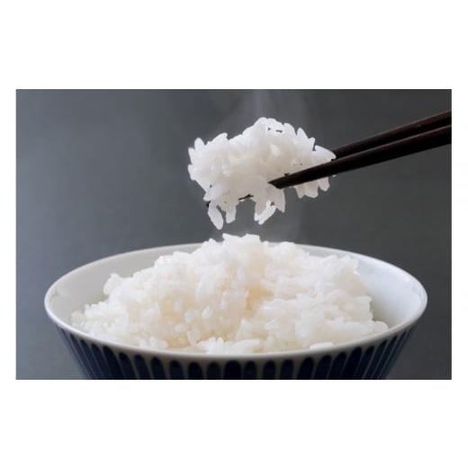 ふるさと納税 米 ひとめぼれ 宮城県 美里町 令和7年産 新米 宮城県美里町産 ひとめぼれ 精米 5kg(5kg×1袋)