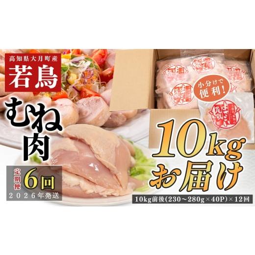 ふるさと納税 鶏肉 ムネ 高知県 大月町 定期便 6回 数量限定 鶏むね肉 10kg前後 大容量 国産 業務用|おすすめ 鶏肉 天皇杯受賞 最優秀賞受賞 ブランド鶏 鶏…