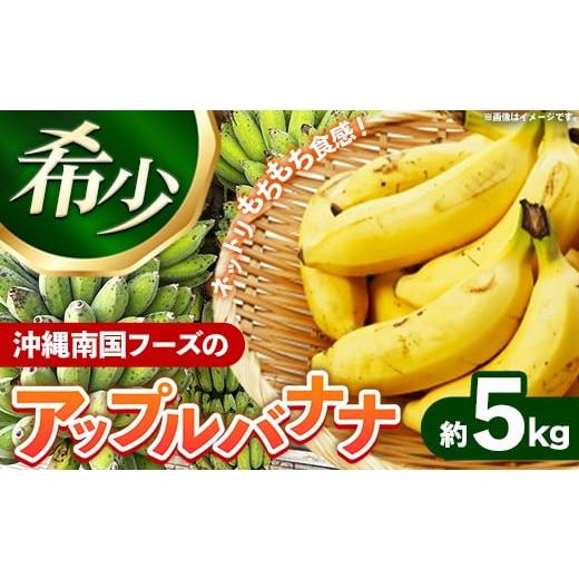 ふるさと納税 果物類 沖縄県 八重瀬町 国産 希少種 南国フーズのアップルバナナ 約5kg - バナナ ばなな 小ぶり 沖縄県 産地直送 果物 フルーツ 南国 朝食 おす…