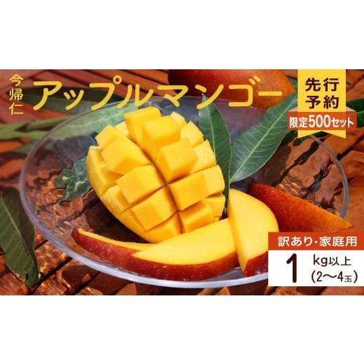 ふるさと納税 マンゴー 沖縄県 今帰仁村 訳あり・家庭用 生産者応援 限定500セット 今帰仁アップルマンゴー1kg以上(白箱) 2026年6月中旬〜8月中旬頃発送