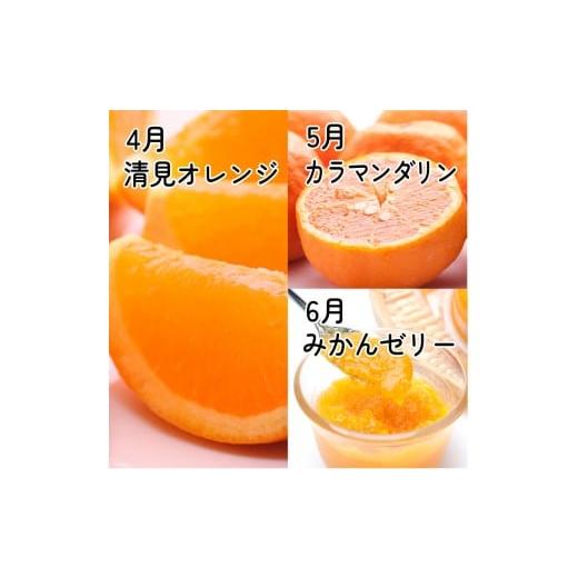 ふるさと納税 みかん・柑橘類 和歌山県 和歌山市 家庭用 柑橘定期便M（4〜6月）全3回 ［IKE311］_3