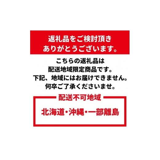 ふるさと納税 みかん・柑橘類 和歌山県 和歌山市 家庭用 柑橘定期便M（4〜6月）全3回 ［IKE311］_4