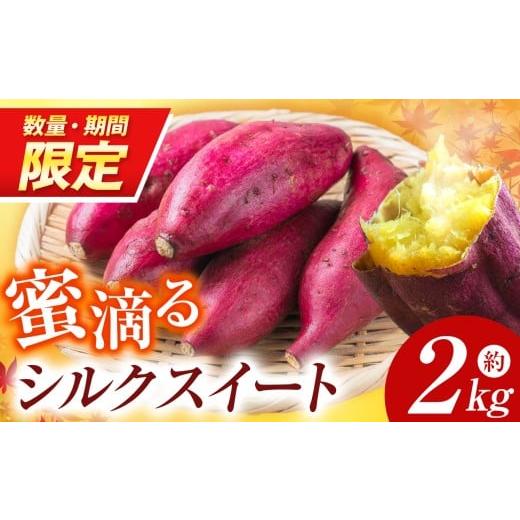ふるさと納税 野菜類 サツマイモ 奈良県 御杖村 先行予約 数量・期間限定 蜜滴るシルクスイート2キロ(栽培期間中は農薬・化学肥料不使用)| シルクスイート …