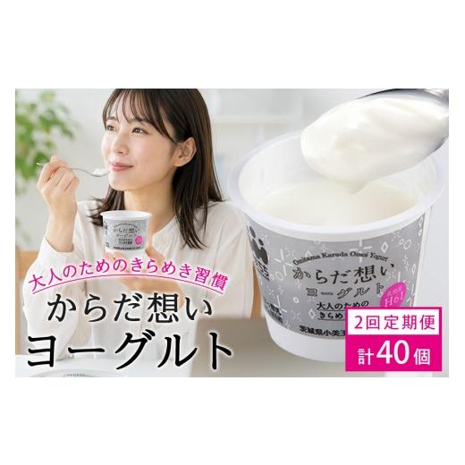ふるさと納税 菓子 ヨーグルト 茨城県 小美玉市 定期便2回 H61乳酸菌『からだ想いヨーグルト』20個×2回 ヨーグルト H61乳酸菌 敬老の日 御見舞い 自宅待機 …