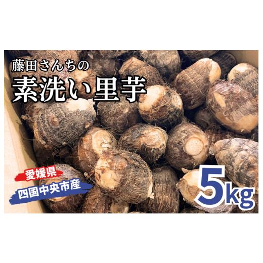 ふるさと納税 野菜類 愛媛県 四国中央市 藤田さんちの素洗い里芋 (四国中央市産)5kg 5kg|寄附金額12,000円