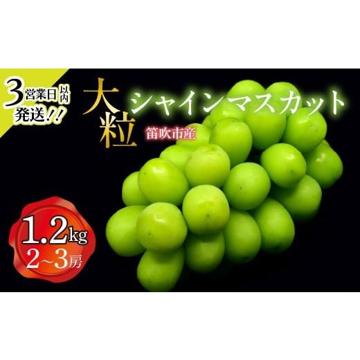 ふるさと納税 ぶどう マスカット 山梨県 笛吹市 冬シャイン スピード発送 3営業日以内発送 笛吹市産 大粒シャインマスカット 1.2kg(2〜3房) 227-021 冬シ…