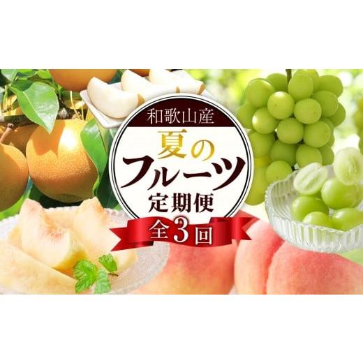 ふるさと納税 果物の詰合せ 和歌山県 海南市 定期便全3回 7月・8月・9月発送 和歌山の夏のフルーツをお届け(桃・梨・シャインマスカット) [TM224]
