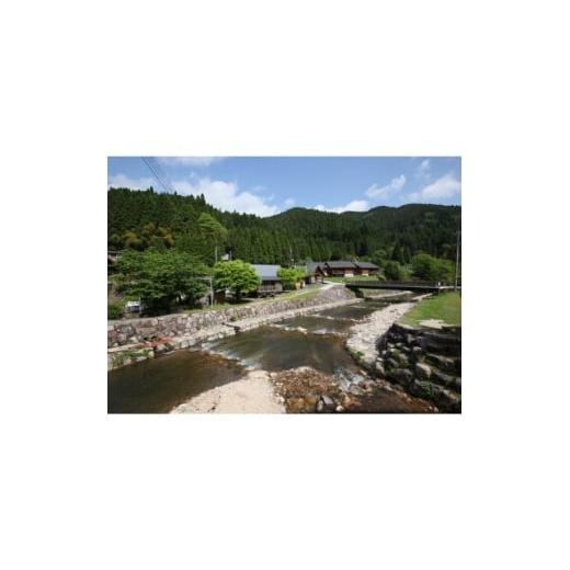 ふるさと納税 入場券・優待券 岡山県 美作市 渓流釣り体験 ファミリー入場券 1672833