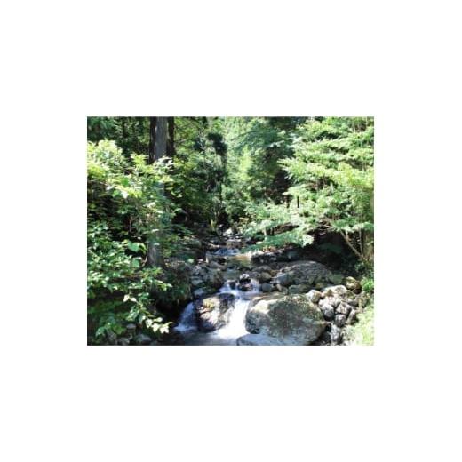 ふるさと納税 入場券・優待券 岡山県 美作市 渓流釣り体験 大人1名入場券 1672835