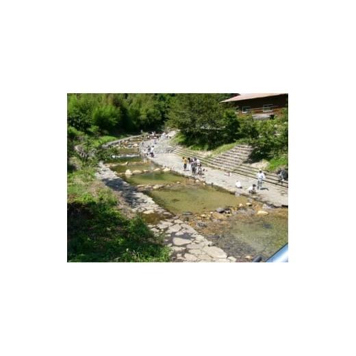 ふるさと納税 入場券・優待券 岡山県 美作市 渓流釣り体験 大人グループ入場券 1672839