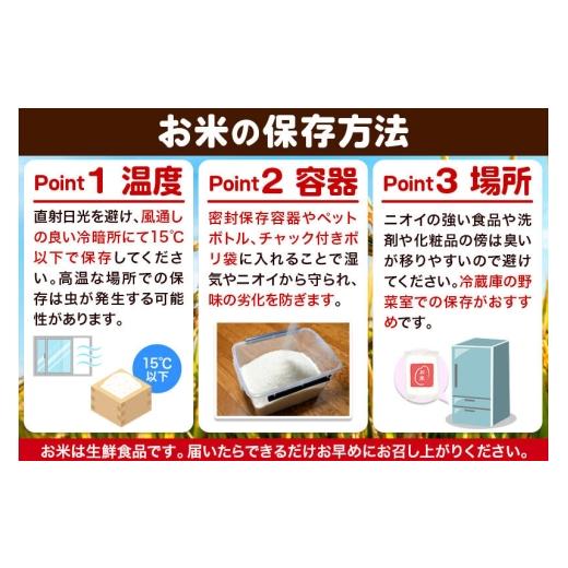 ふるさと納税 米 ひとめぼれ 秋田県 由利本荘市 《令和8年産 新米受付》《定期便2ヶ月》 無洗米 通算5回特A 秋田県産ひとめぼれ 10kg(5kg×2袋)×2回 お届け周…の画像