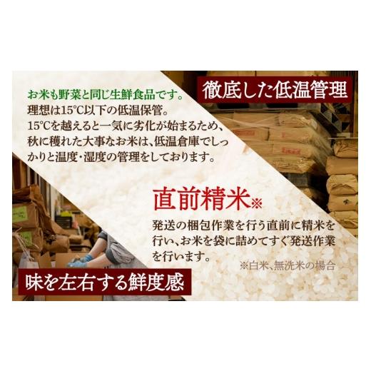 ふるさと納税 米 ひとめぼれ 秋田県 由利本荘市 《令和8年産 新米受付》《定期便2ヶ月》 無洗米 通算5回特A 秋田県産ひとめぼれ 10kg(5kg×2袋)×2回 お届け周…の画像