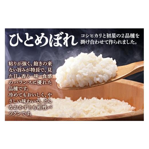 ふるさと納税 米 ひとめぼれ 秋田県 由利本荘市 《令和8年産 新米受付》《定期便2ヶ月》 無洗米 通算5回特A 秋田県産ひとめぼれ 10kg(5kg×2袋)×2回 お届け周…の画像