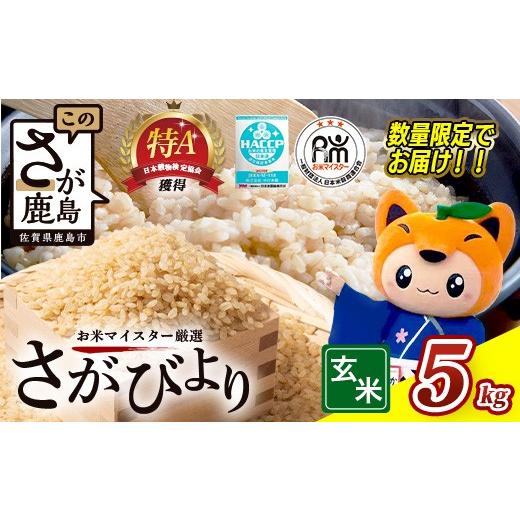 ふるさと納税 玄米 佐賀県 鹿島市 さがびより 令和7年産 佐賀県産 5kg 玄米 16年連続 特A評価 C-175 令和7年産