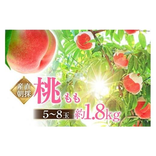 ふるさと納税 もも 山梨県 中央市 山梨県中央市産 桃 約1.8kg ( 5〜8玉 ) ピーチファームなんば 山梨県 中央市 21470170 もも モモ フルーツ 果物 くだもの 1.…
