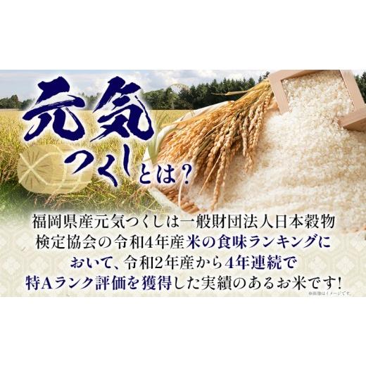 ふるさと納税 米 福岡県 志免町 3回定期便 令和7年産 白米 金のめし丸 元気つくし 5kg 定期便 3ヵ月 福岡 お米 米 ごはん ご飯 お弁当 おにぎり 金のめし丸県…_2