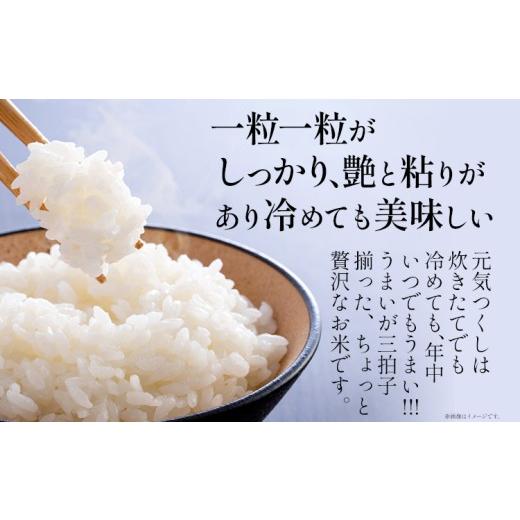 ふるさと納税 米 福岡県 志免町 3回定期便 令和7年産 白米 金のめし丸 元気つくし 5kg 定期便 3ヵ月 福岡 お米 米 ごはん ご飯 お弁当 おにぎり 金のめし丸県…_3