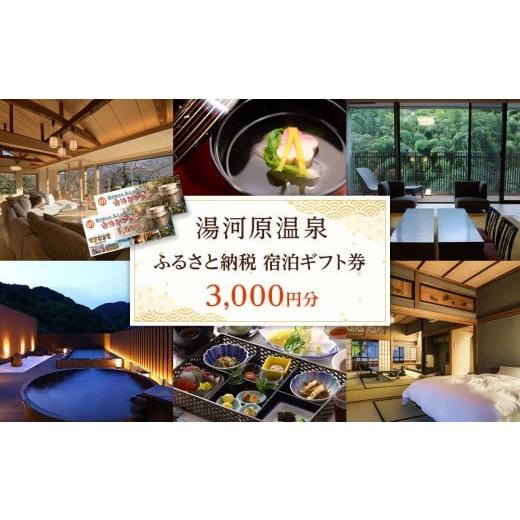 ふるさと納税 宿泊券 温泉 神奈川県 湯河原町 湯河原温泉ふるさと納税「宿泊ギフト券」 3,000円分